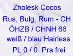 ZHOLESK COCOS